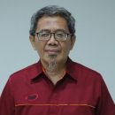 prof iis